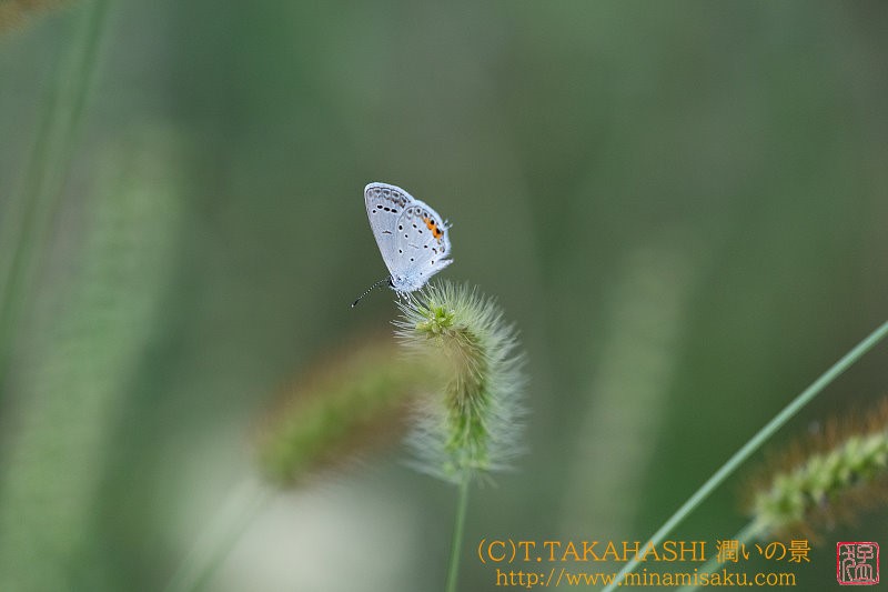 ../Images/7R240914 (270).jpg